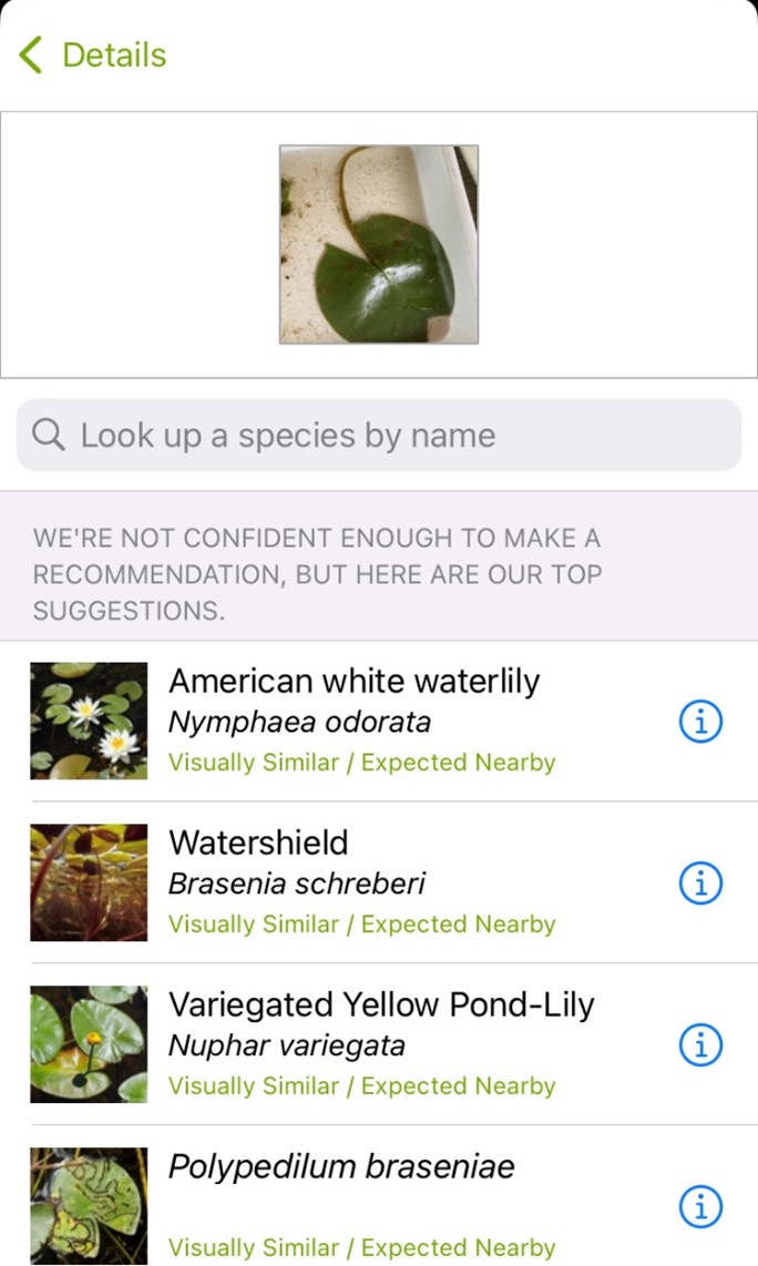 snapshot of suggestion list